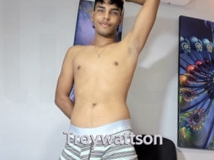 Troywattson