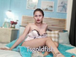 Tsgoldfish