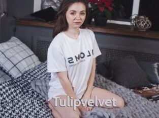 Tulipvelvet