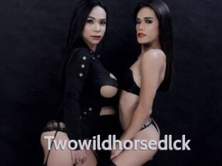 Twowildhorsedlck