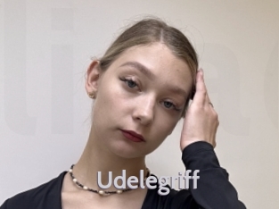 Udelegriff