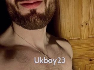 ukboy23 Live Cam 66