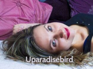 Uparadisebird