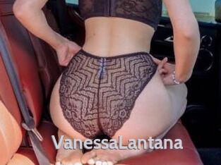 VanessaLantana