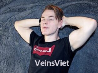 VeinsViet