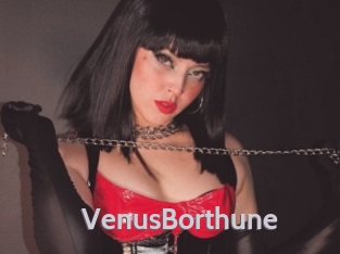 VenusBorthune