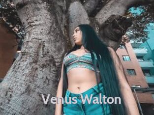 Venus_Walton