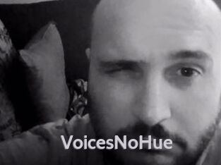 VoicesNoHue