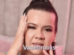 Vanebrooks