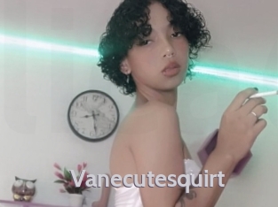 vanecutesquirt Live Cam 66