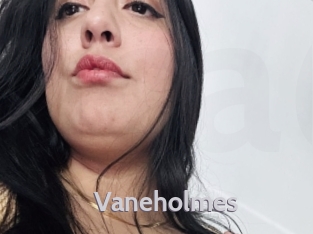 Vaneholmes
