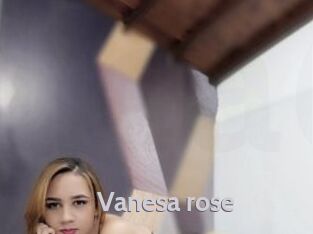 Vanesa_rose