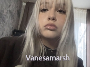 Vanesamarsh