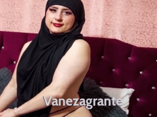 Vanezagrante