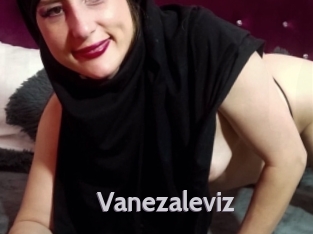 Vanezaleviz