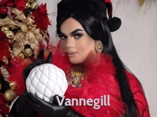 vannegill Live Cam 66