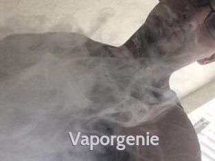 Vapor_genie