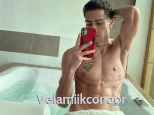 Velamiikconoor