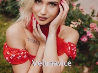 Velunavice