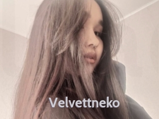 Velvettneko