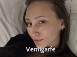 ventigarfe Live Cam 66