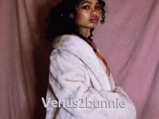 Venus2bunnie