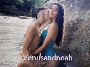 Venusandnoah