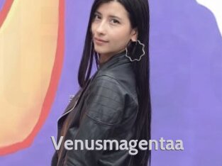 Venusmagentaa