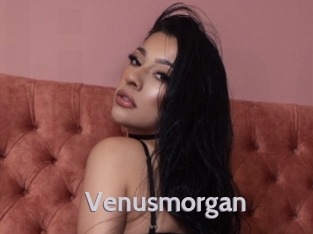 Venusmorgan