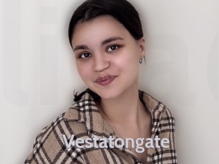 Vestatongate