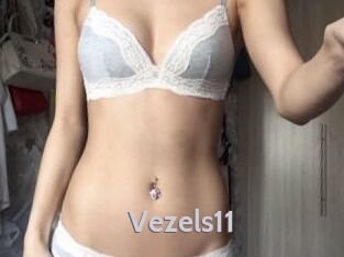 Vezels11