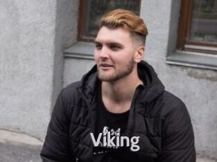 viking Live Cam 66