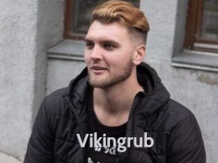 Vikingrub