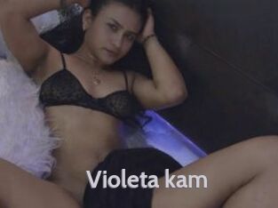 Violeta_kam