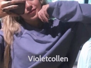 Violetcollen