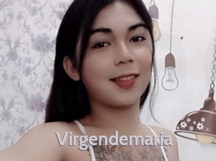 Virgendemaria