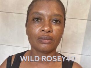 WILD_ROSEY40