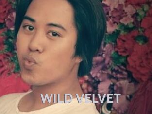 WILD_VELVET