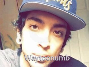 Waytoonumb