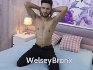 WelseyBronx Live Cam 66