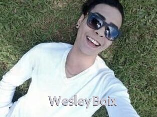 Wesley_Boix