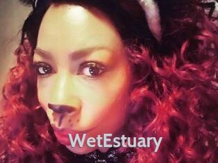 WetEstuary