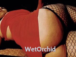 WetOrchid