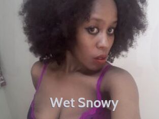 Wet_Snowy