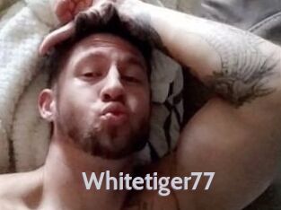 Whitetiger77