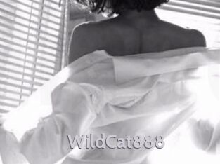WildCat888