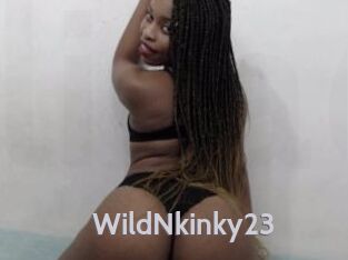 WildNkinky23