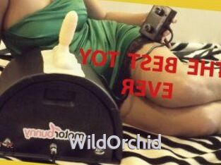 WildOrchid_