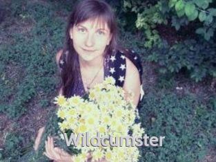 Wildcumster