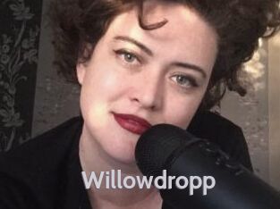 Willowdropp